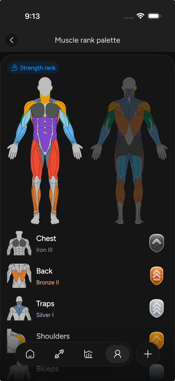 Strength rank map showing Iron-to-Challenger ranks for each muscle group